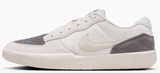 Nike SB - Force 58 Shoes | Phantom Pencil Point