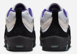 Nike SB - Air Max Ishod Shoes | White Black Purple
