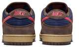 Pair of Nike sneakers with brown, blue, and red design on a white background