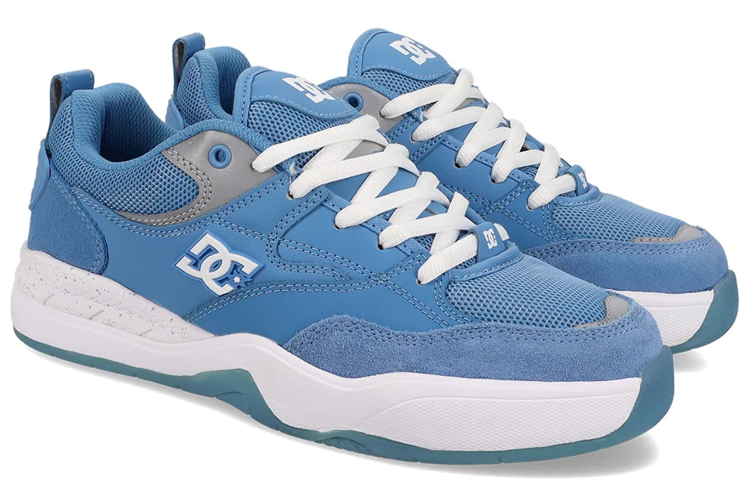 DC - Ascend S Shoes | Carolina Blue – Plusskateshop.com