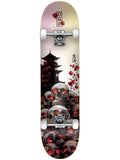 DGK - Haunt 8.25" Complete