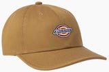 Dickies - Low Pro Logo Dad Hat | Brown Duck