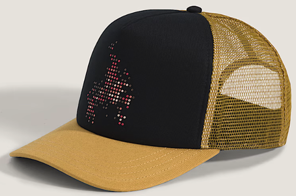 Vans - Skate Flame Trucker Hat | Black Gold