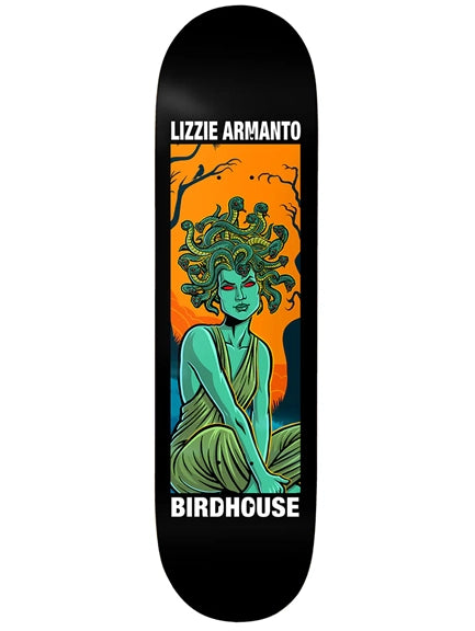 Birdhouse - Lizzie Armanto 'Second Life' 8.25