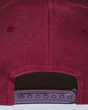 FA - PBS Logo Snapback Hat | Maroon