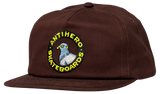 Antihero - Pigeon Round Snapback | Brown