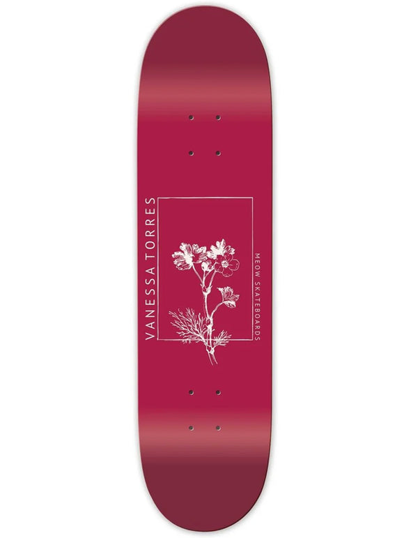 Meow - Vanessa Torres 'Thriving' 8.5